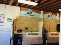 Dusty Paws Pet Wash & Grooming