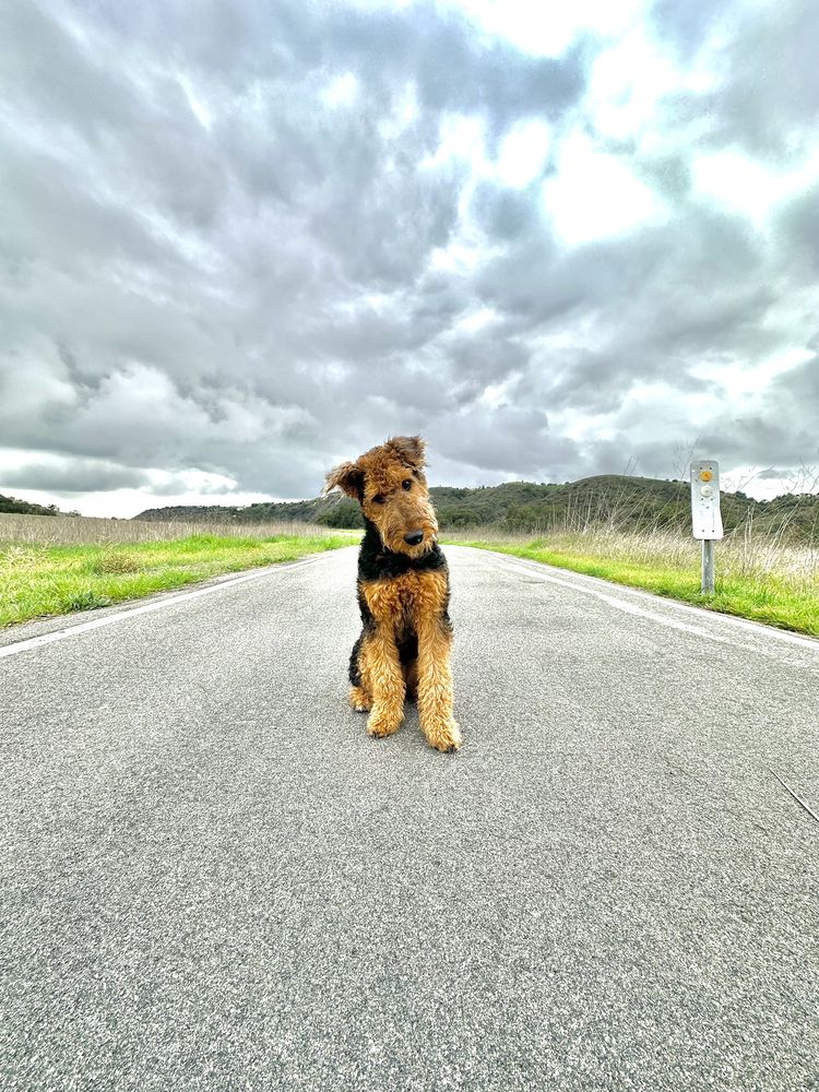 Photo credit: 