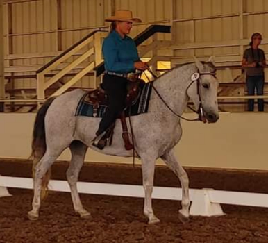 KC Equitation and Horsemanship 6100 W 6th St, Rio Linda California 95673