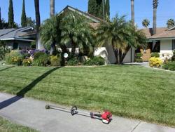 Craig the Lawn Guy - Trimming, Landscaping, Lawn Care, Yard Maintenance