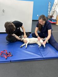 Beach Animal Rehabilitation Center - Rolling Hills