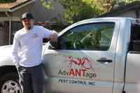 Advantage Pest Control, Inc.