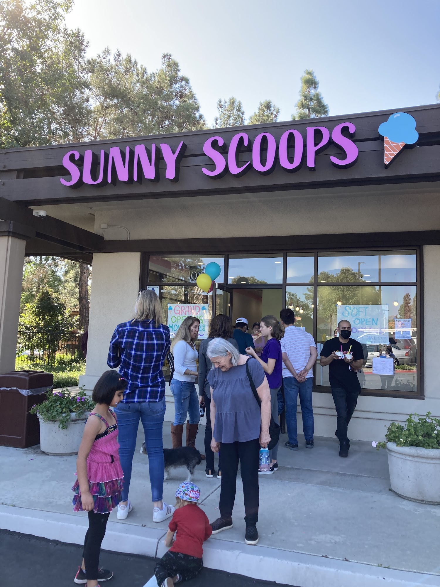 Sunny Scoops