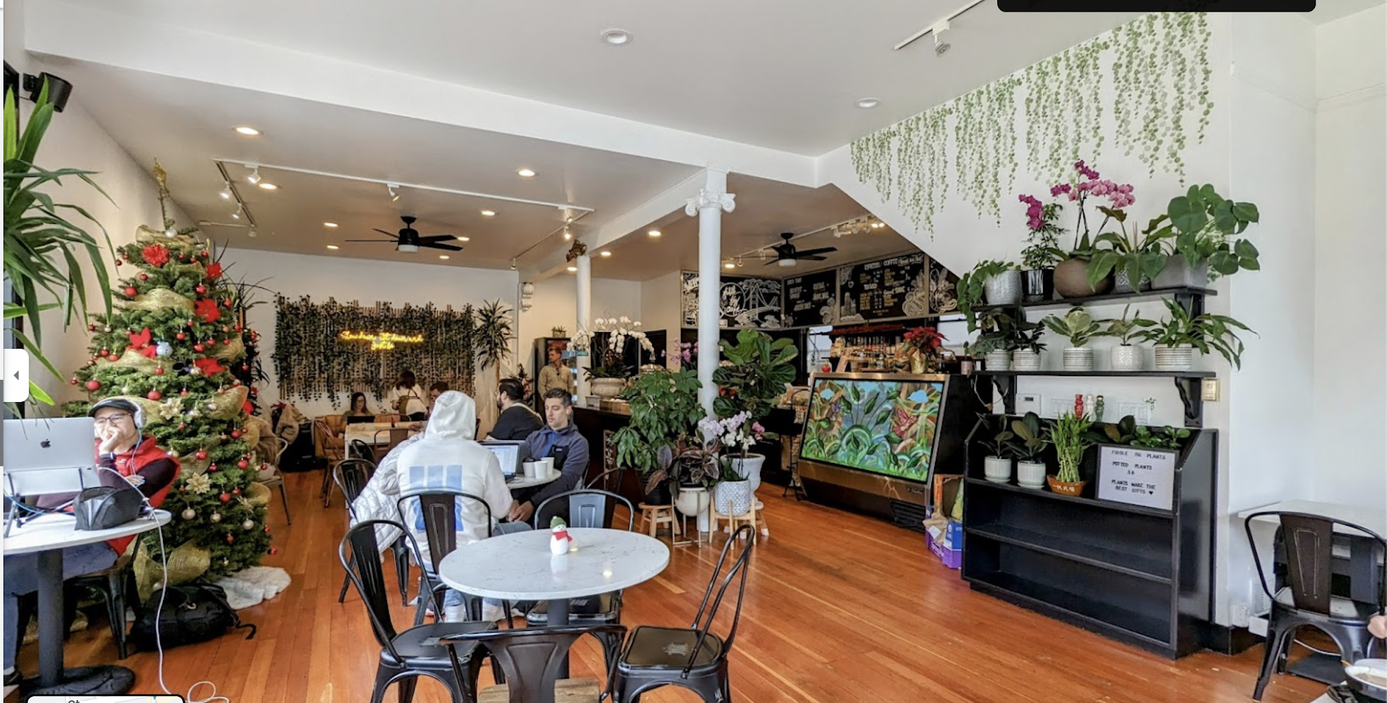 Fiddle Fig Cafe & Coffee