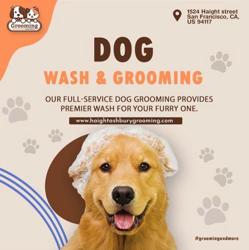 Grooming and More