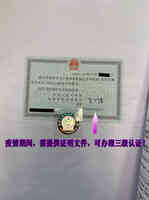 Elink Notary & Livescan & Passport Photo