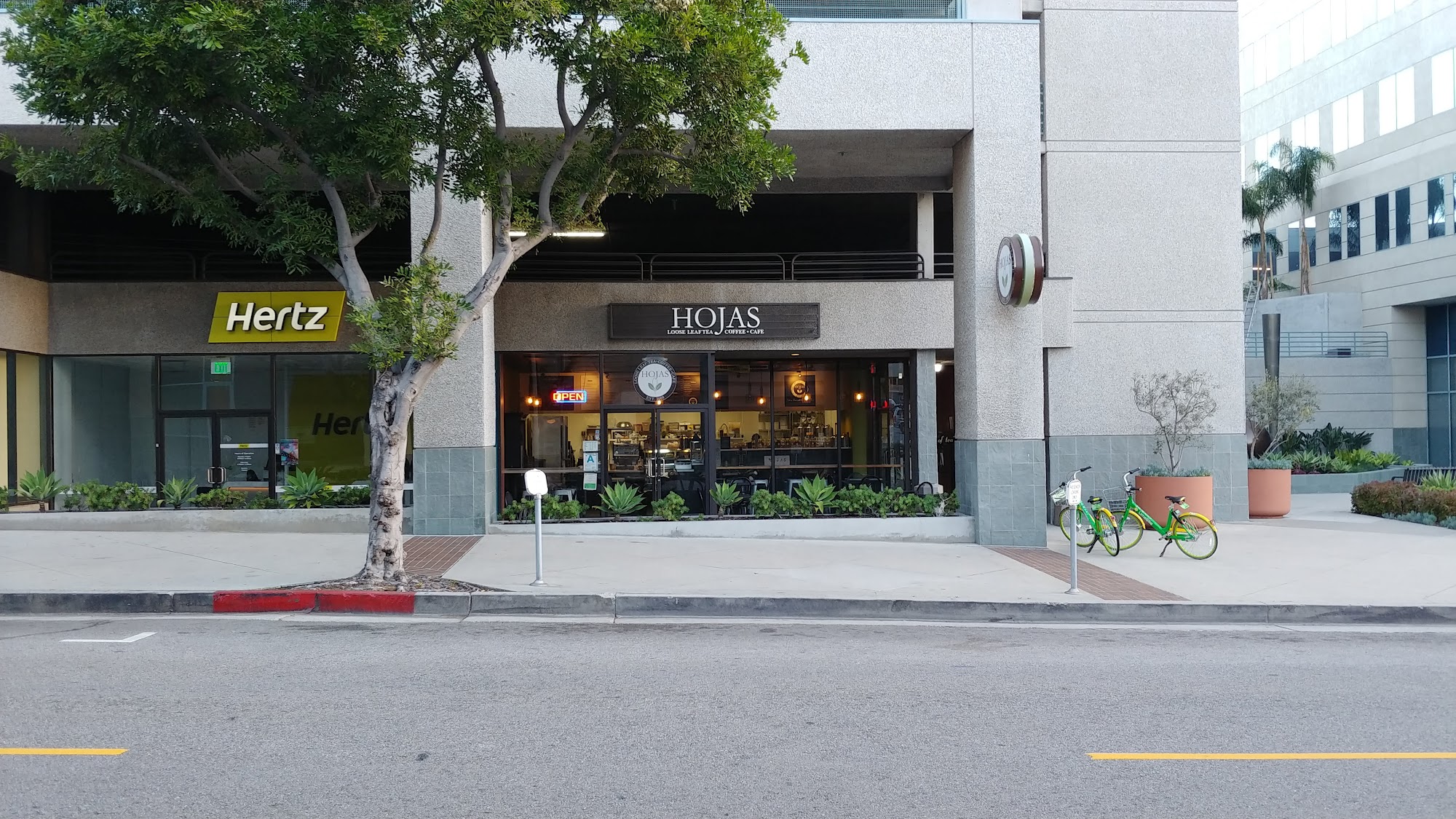 Hojas Tea House