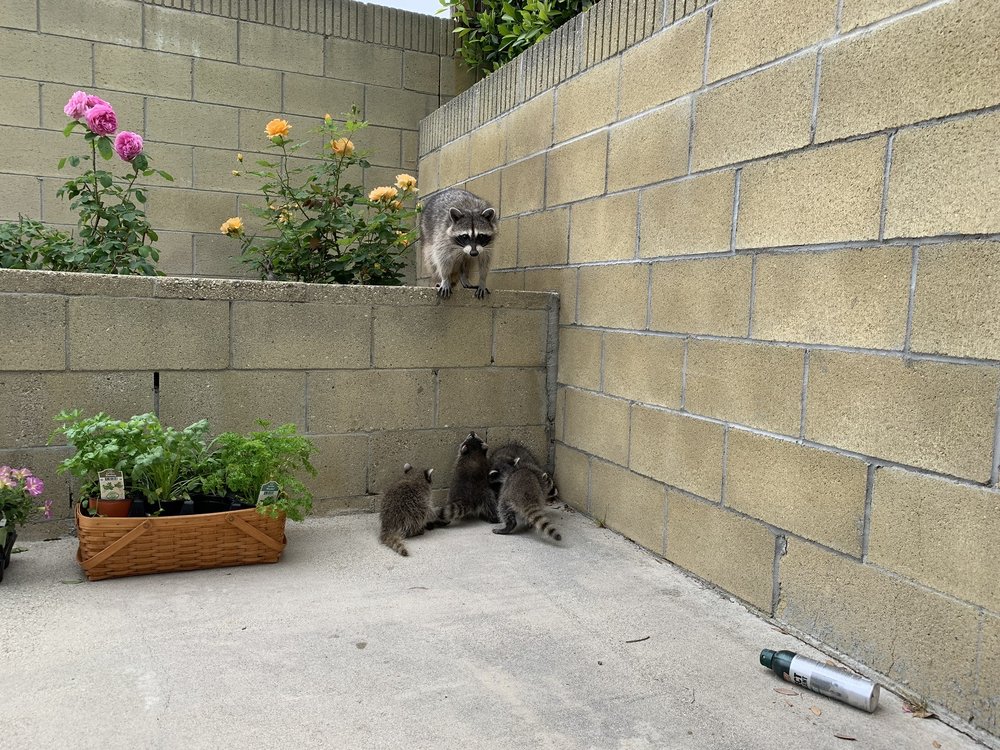 Photo credit: 