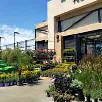 Garden Center at The Home Depot