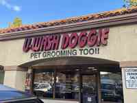 U Wash Doggie