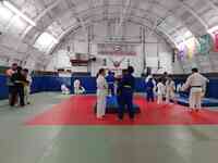 Valley Judo Institute