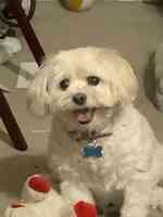 Tarzana Pet Clinic