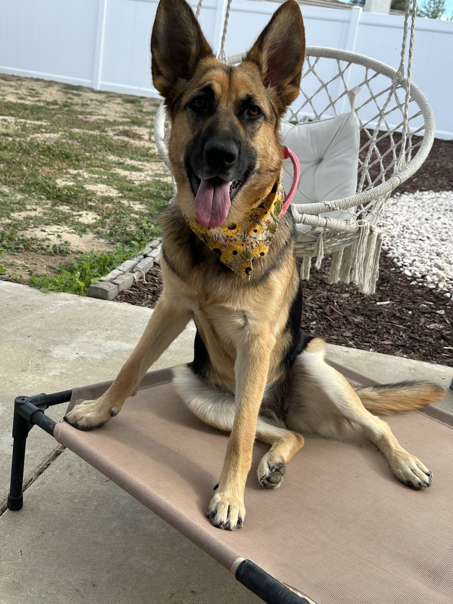 Epic Dog Academy LLC Temecula