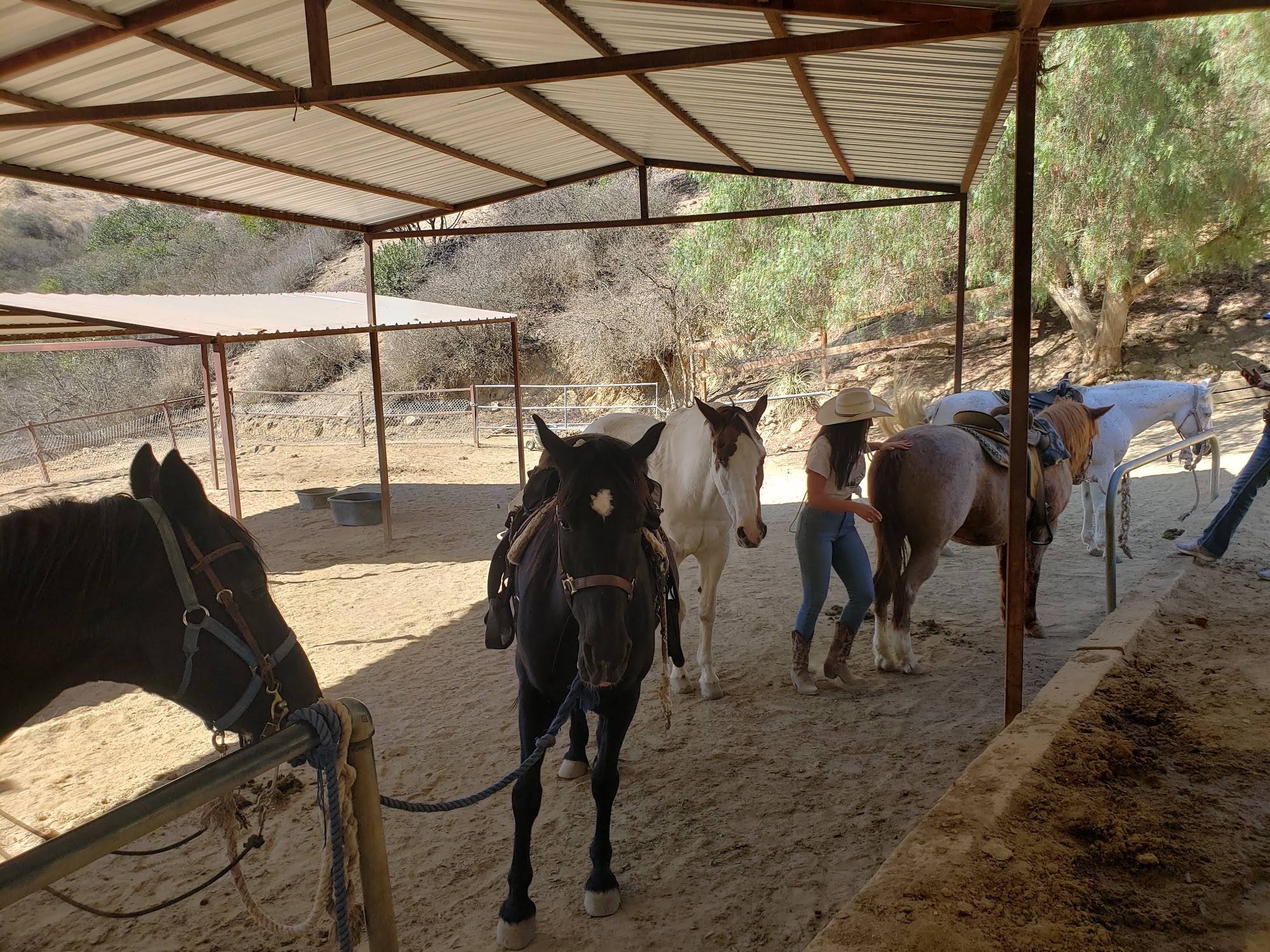 Los Angeles Horseback Riding 2623 Old Topanga Canyon Rd, Topanga California 90290