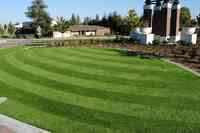 Field of Green Artificial Grass Solutions