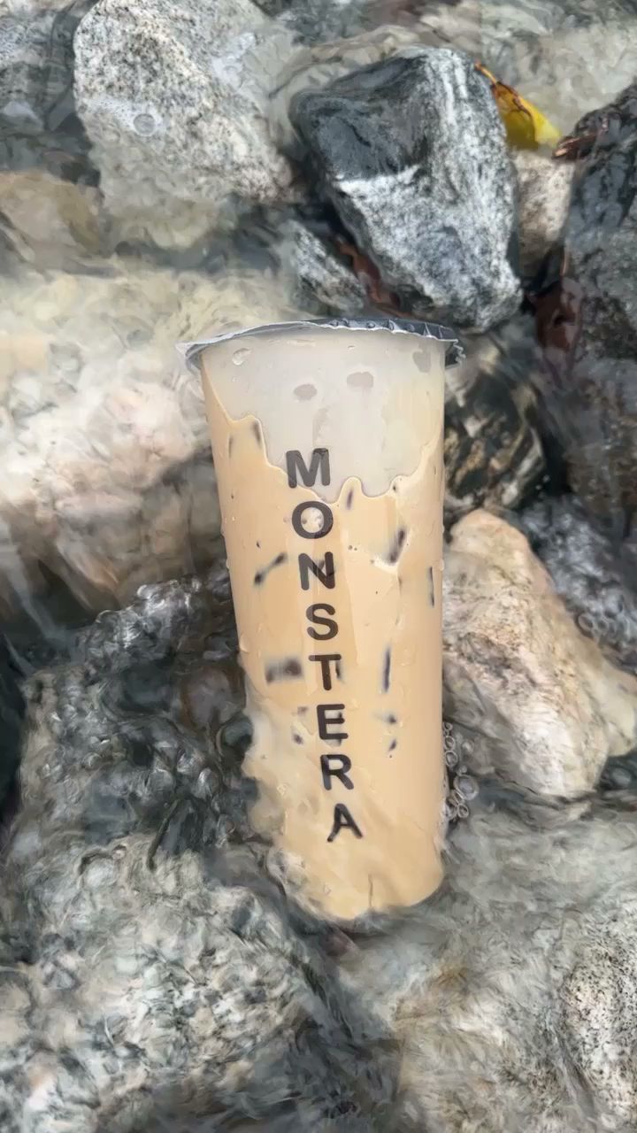 Monstera Teahouse