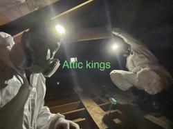 Attic Kings
