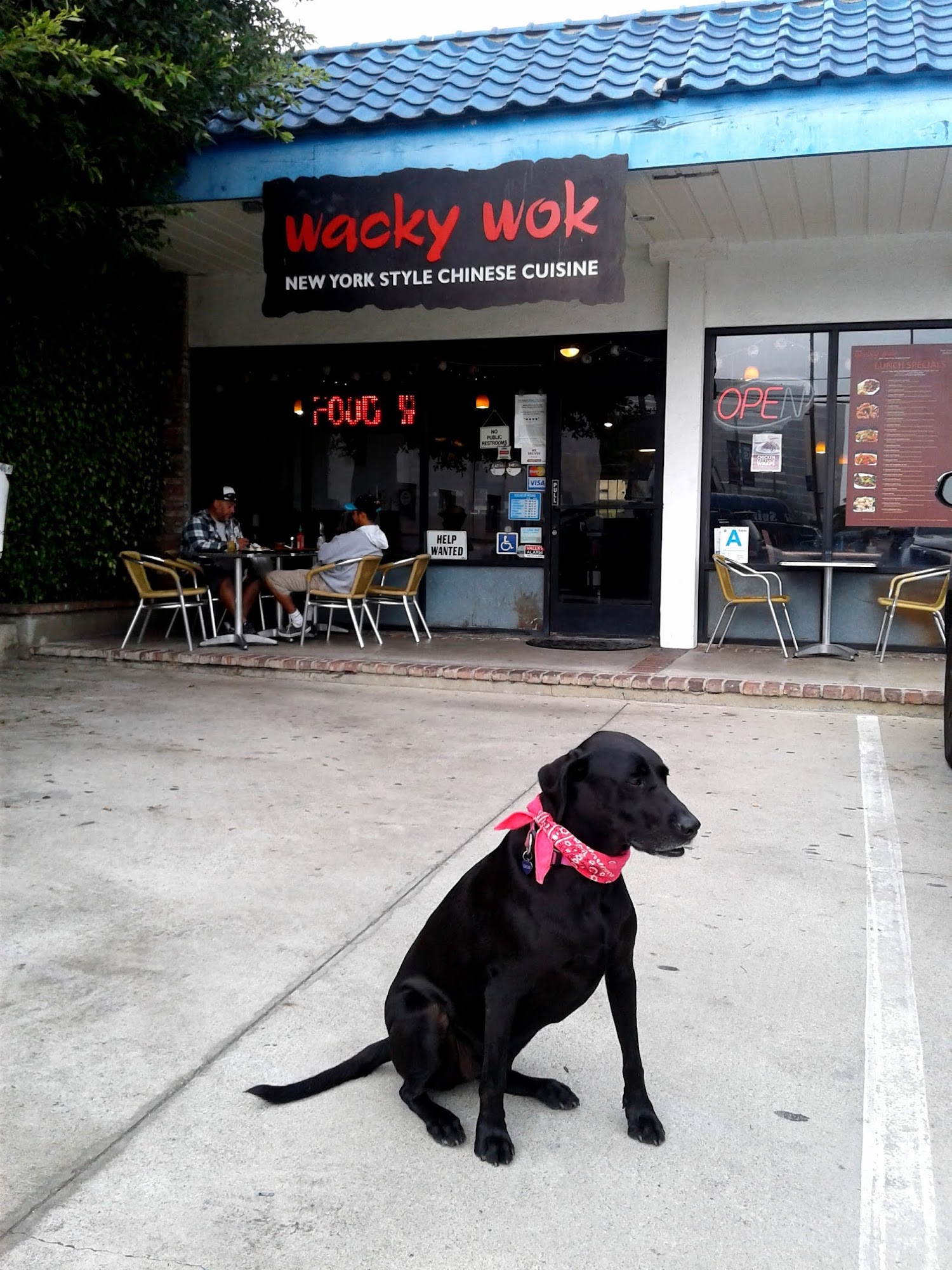 Wacky Wok