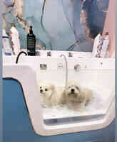Dog Beauty Salon. Luxury Grooming, Boutique & Luncheonette