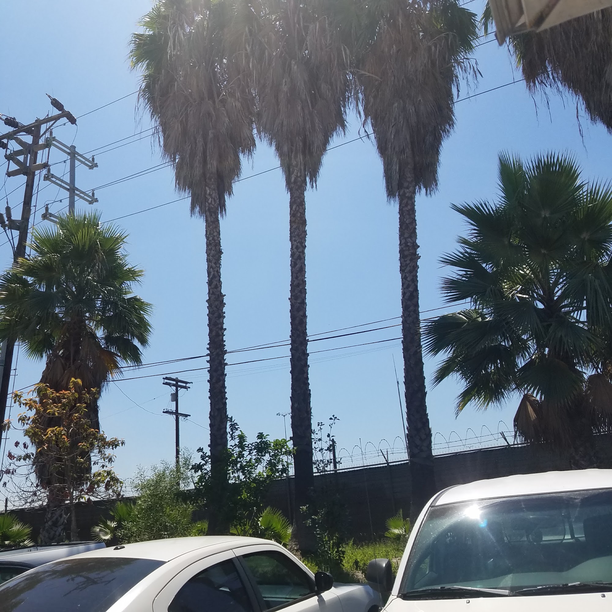 New World Logistic Services Inc