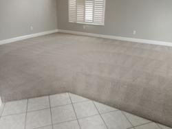 TnT Carpet Cleaning
