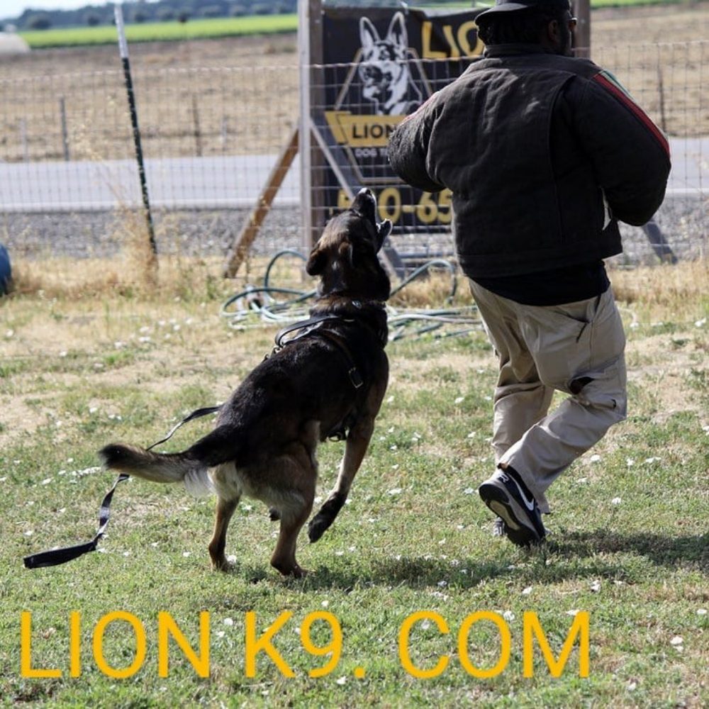 Photo credit: 