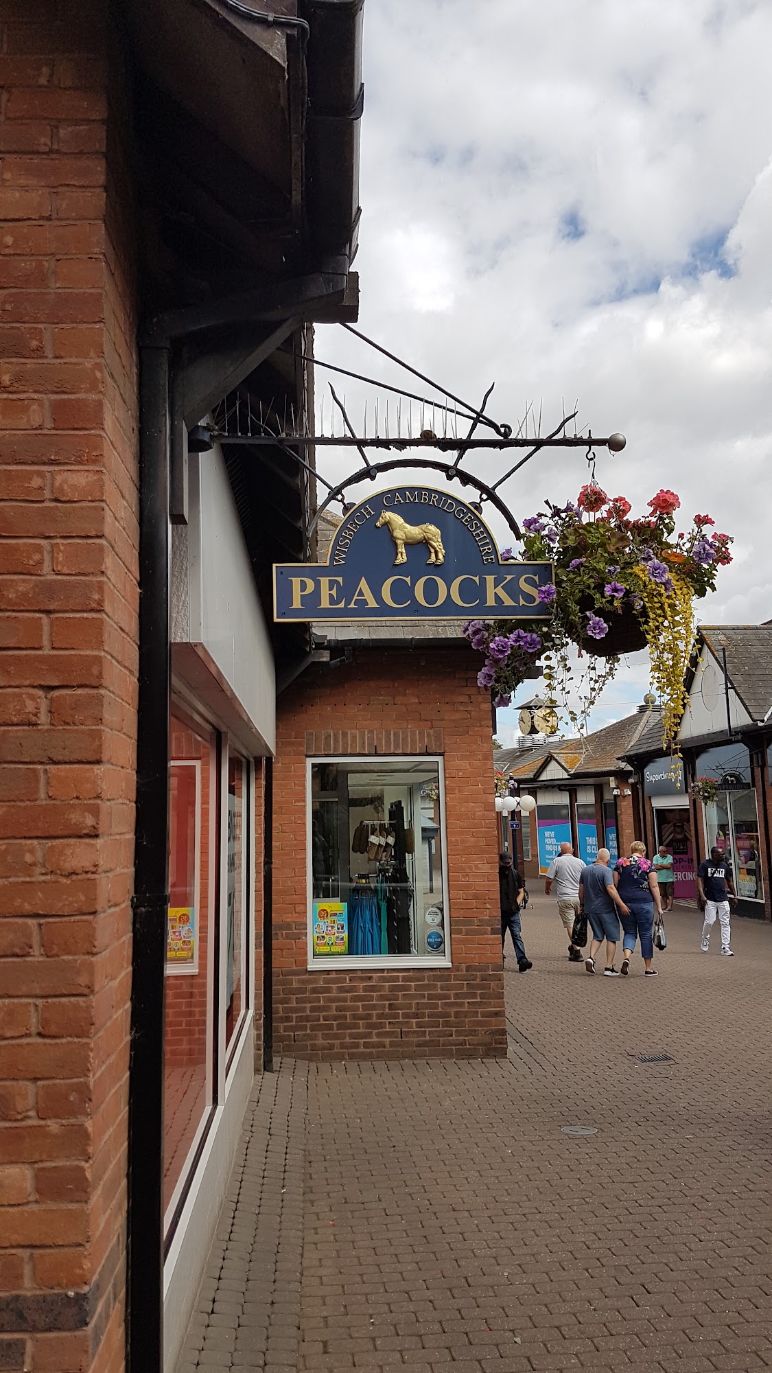 Peacocks Wisbech