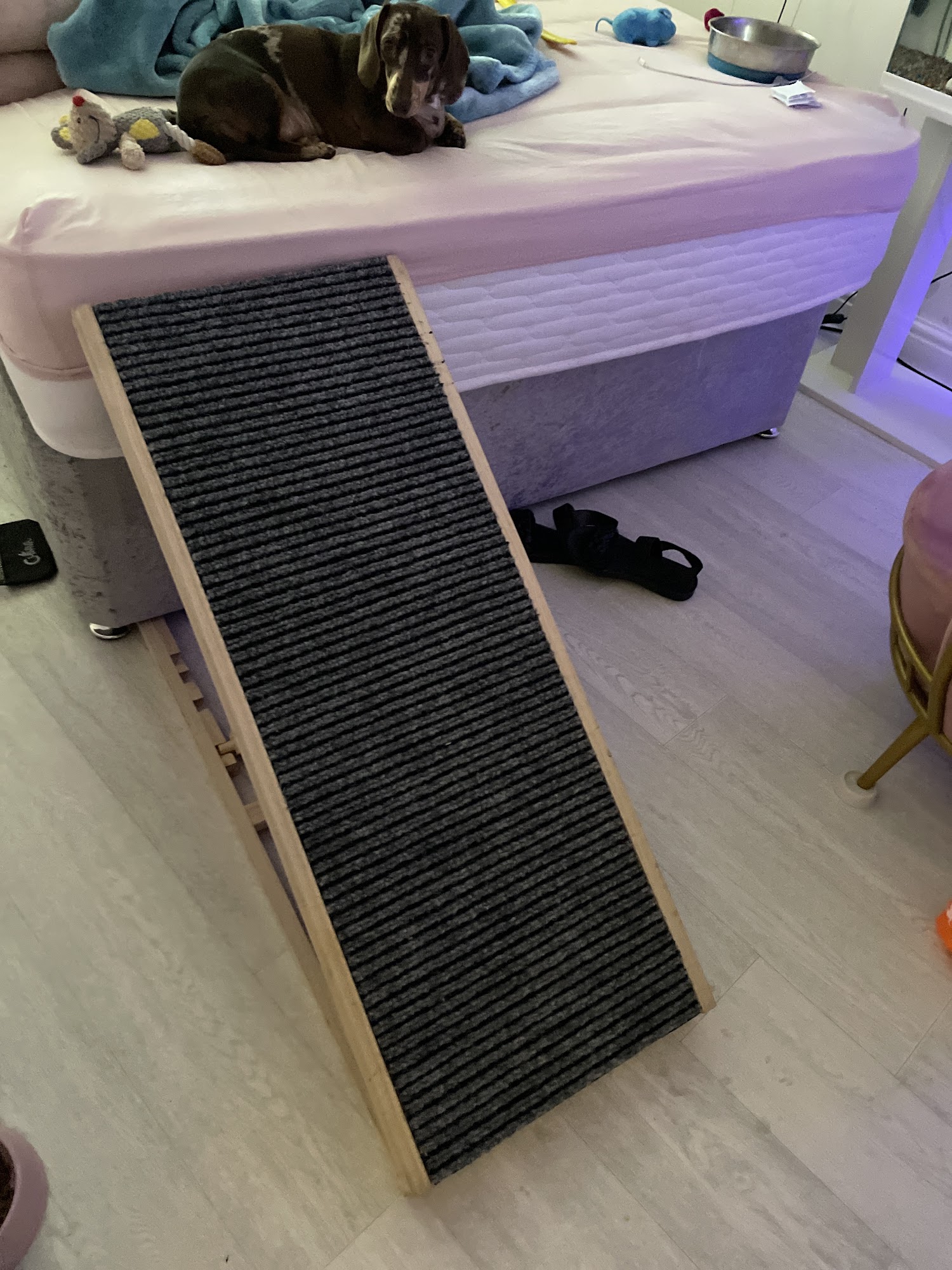 The Little Carpet Shop