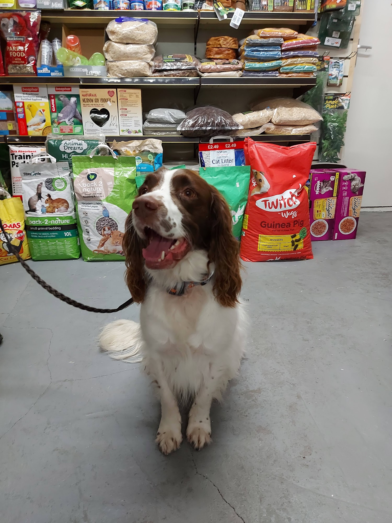 Runcorn Pet shop Runcorn