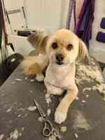 Total Pawfection Dog Grooming