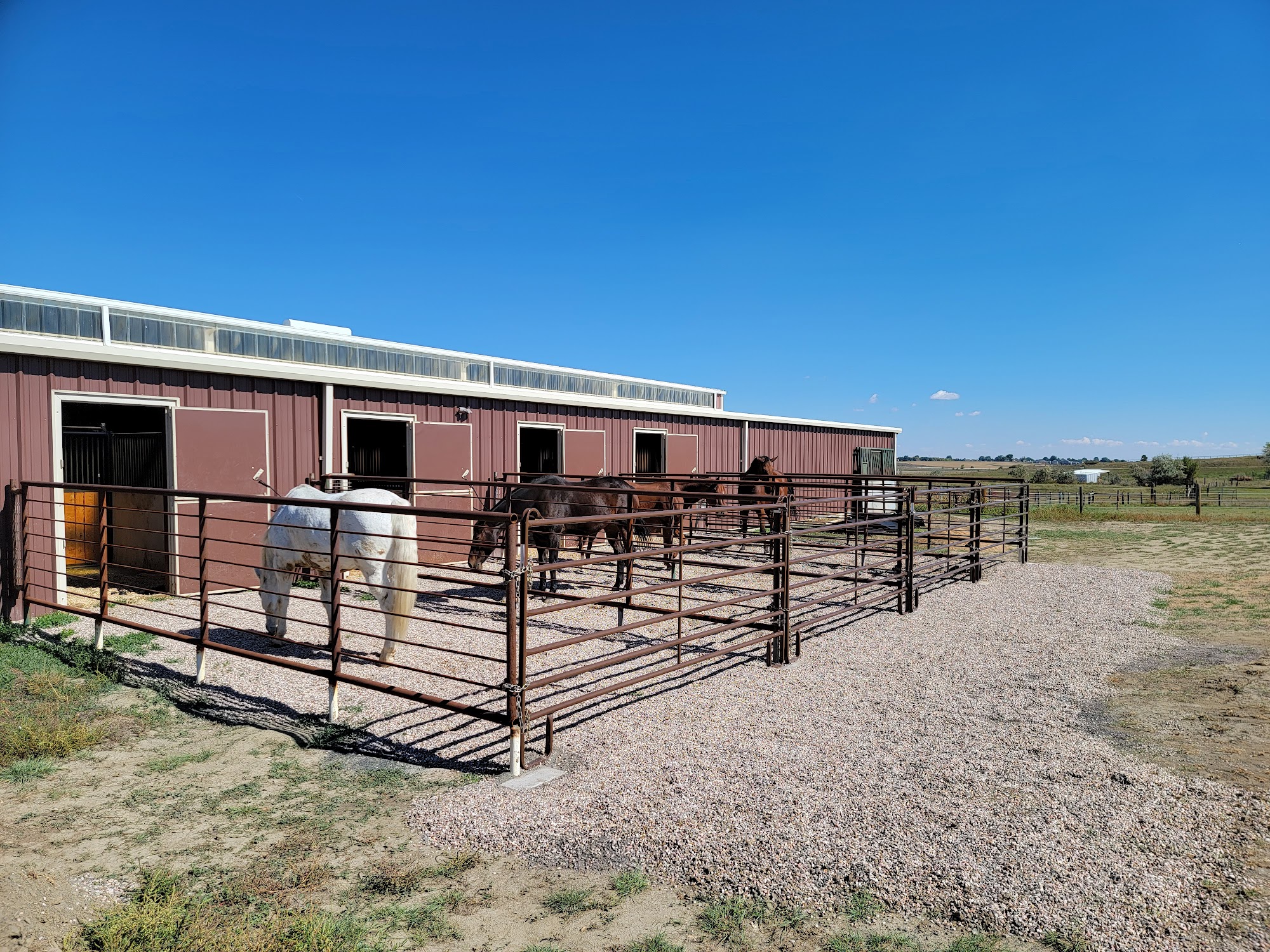 Front Range Equine Performance & Rehabilitation 2528 W County Rd 6, Berthoud Colorado 80513