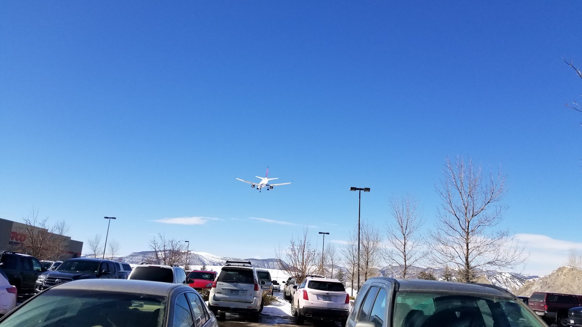 Costco Food Court