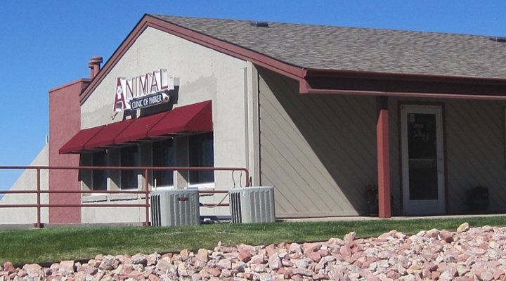 Samhouri Debra DVM Parker