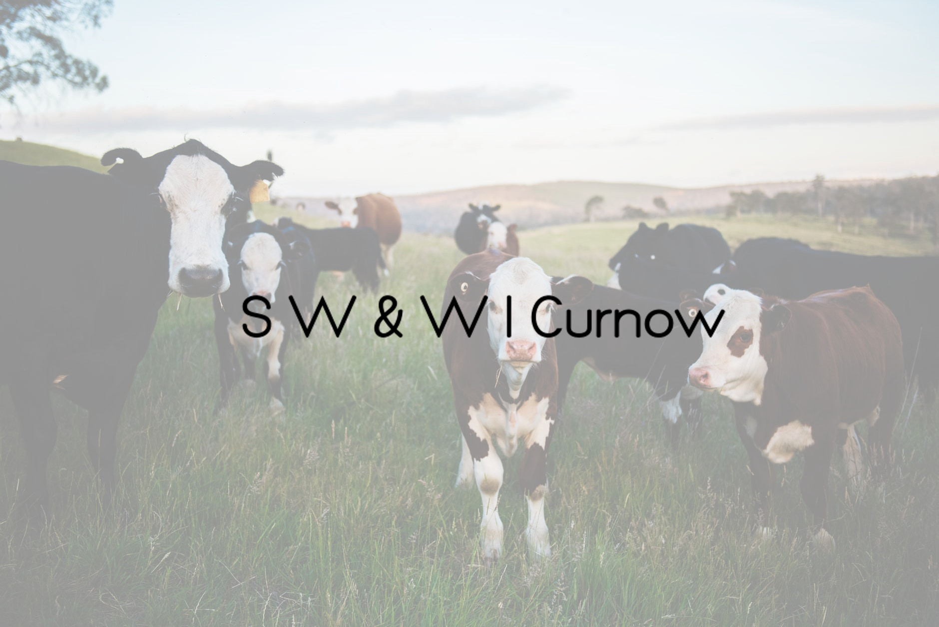 S W & W I Curnow