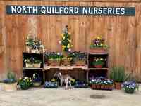 North Guilford Nurseries