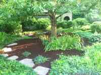 Top Seed Landscaping