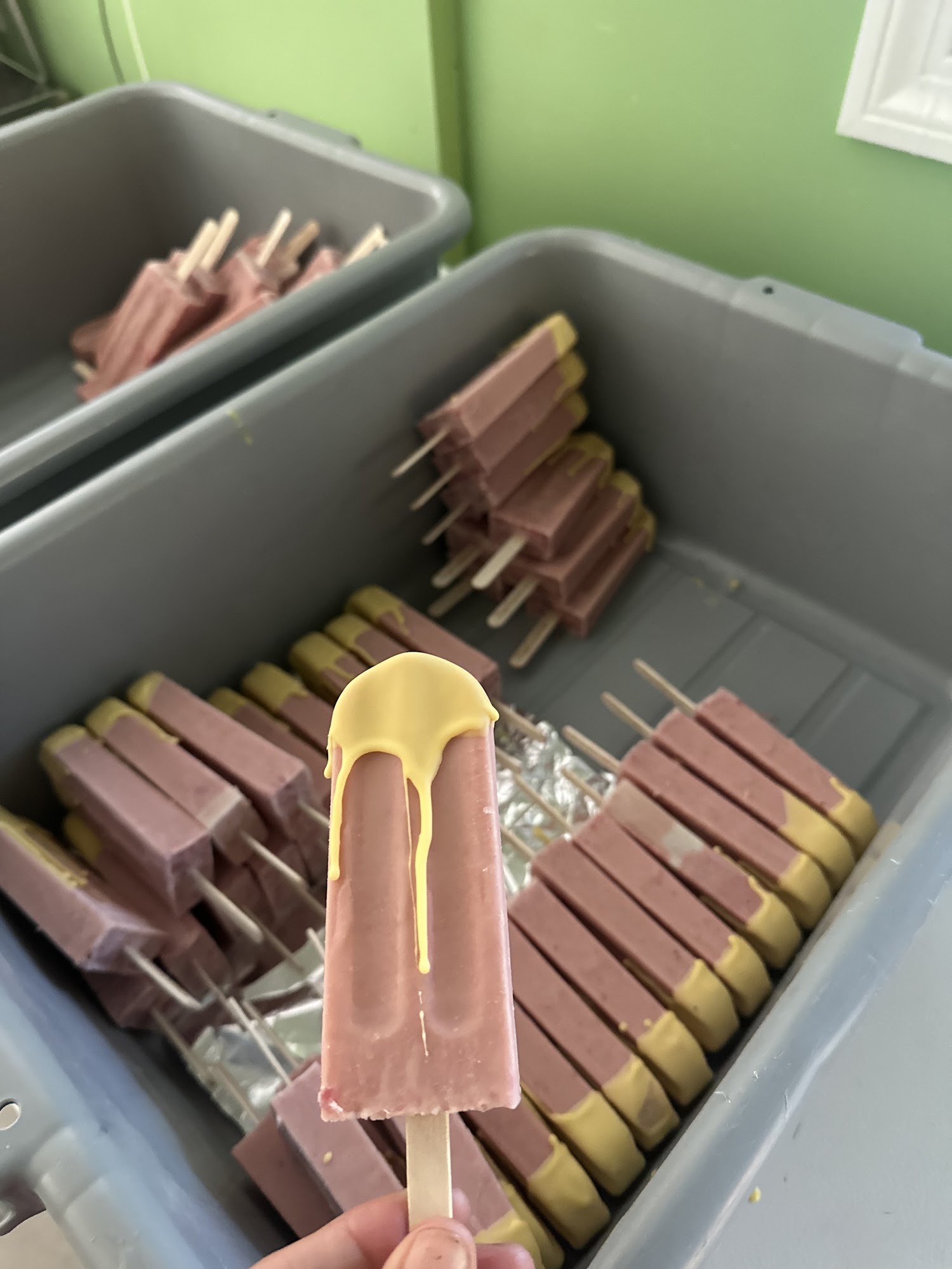 PopCentric Gourmet Ice Pops