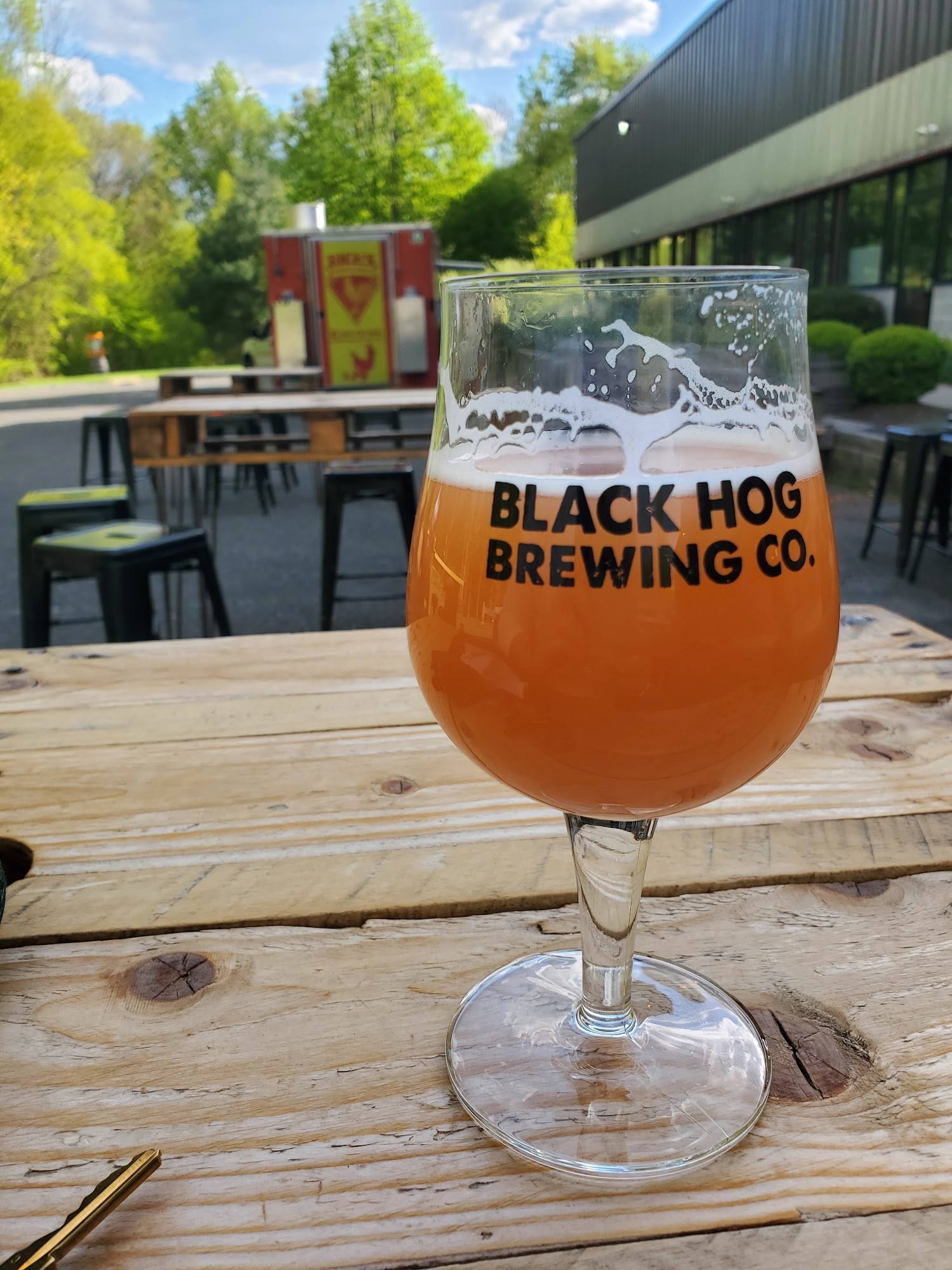 Black Hog Brewing Co