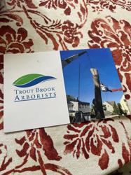 Trout Brook Arborists