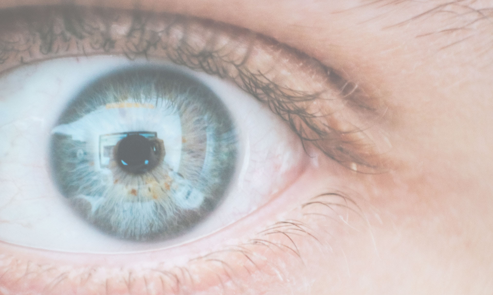 The Bay Macular Clinic - Private Clinic
