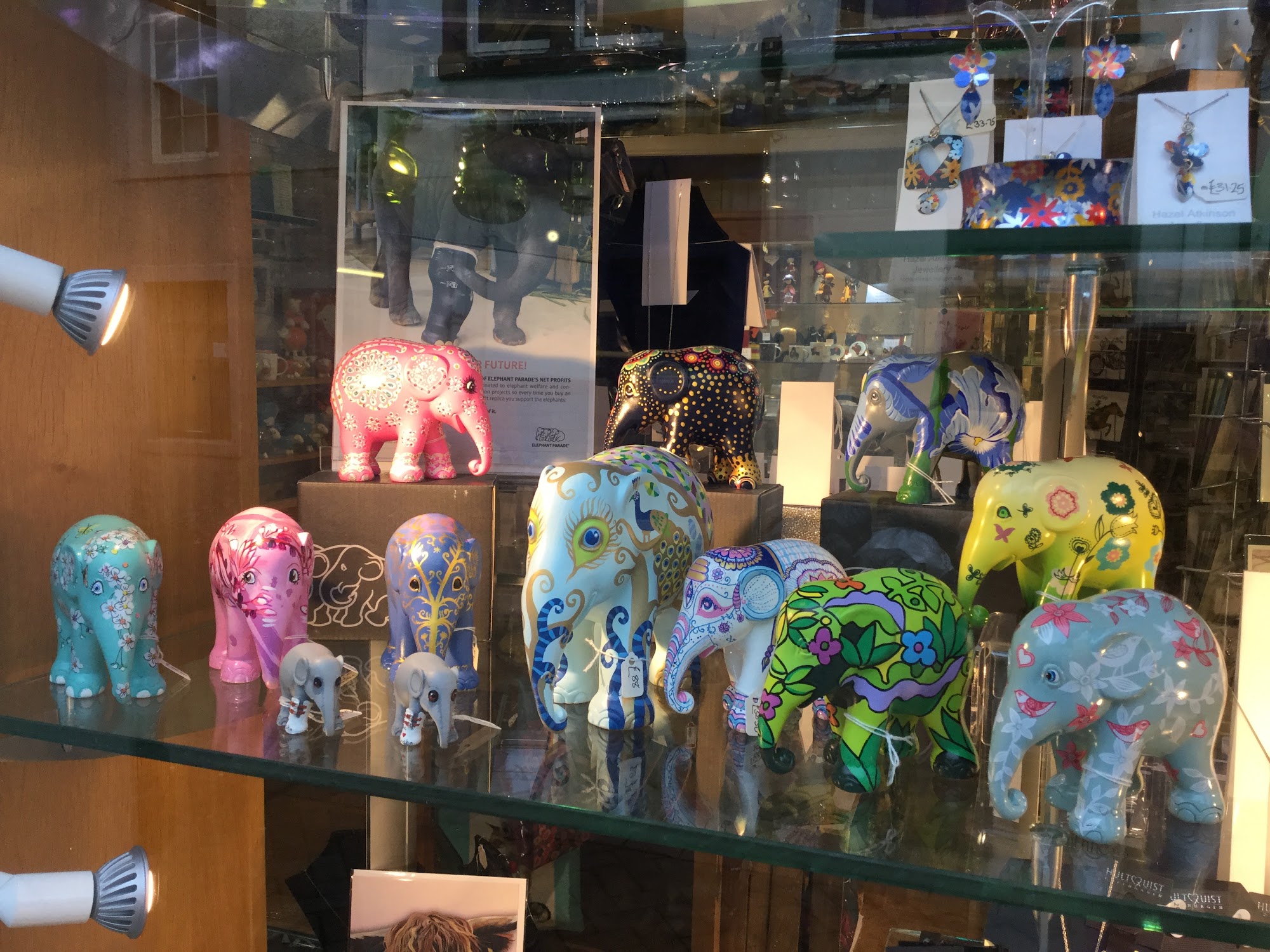 Lion Gallery