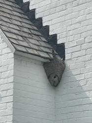 Rick's Pest Consulting Services LLC