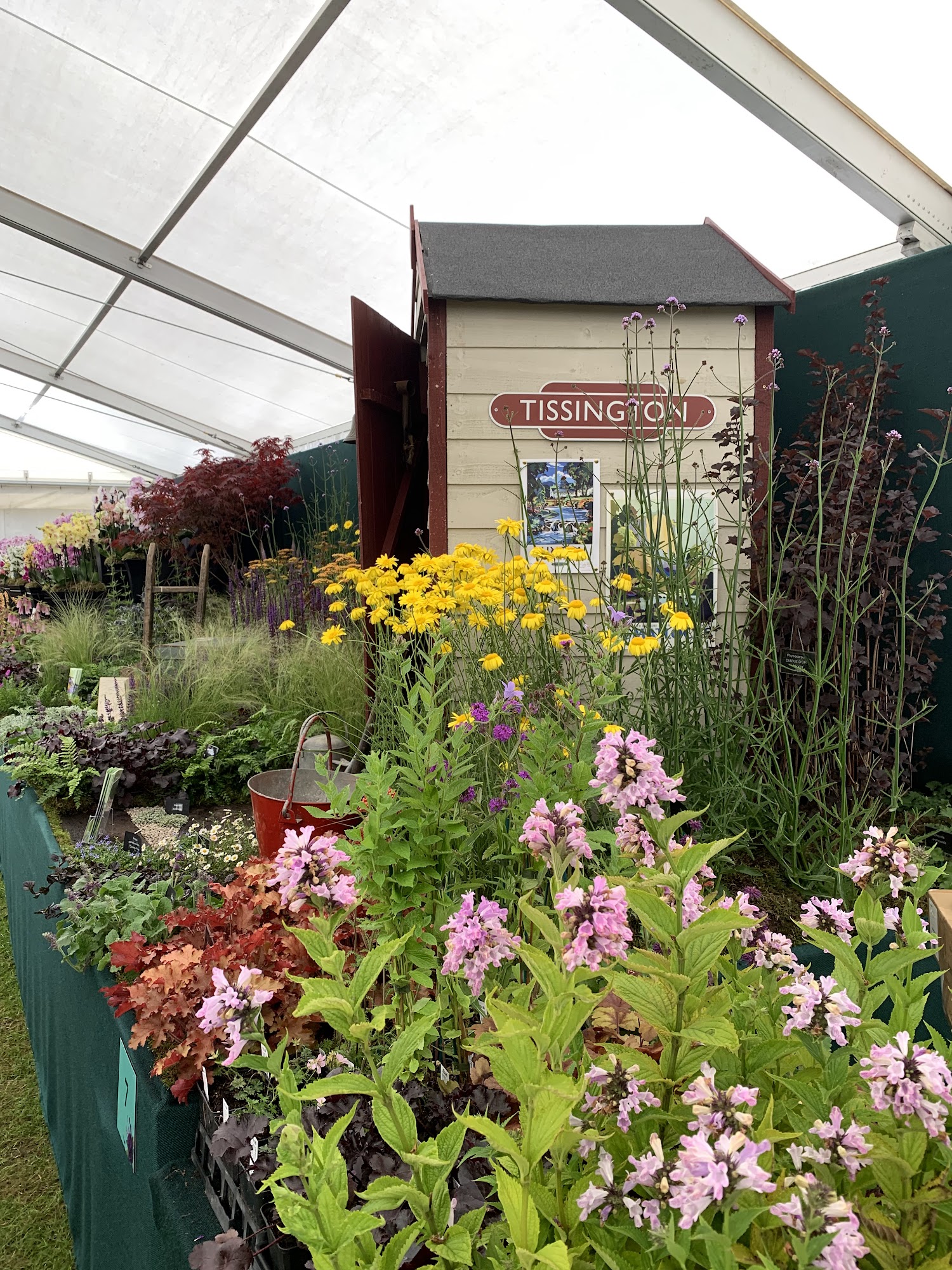 Tissington Nursery