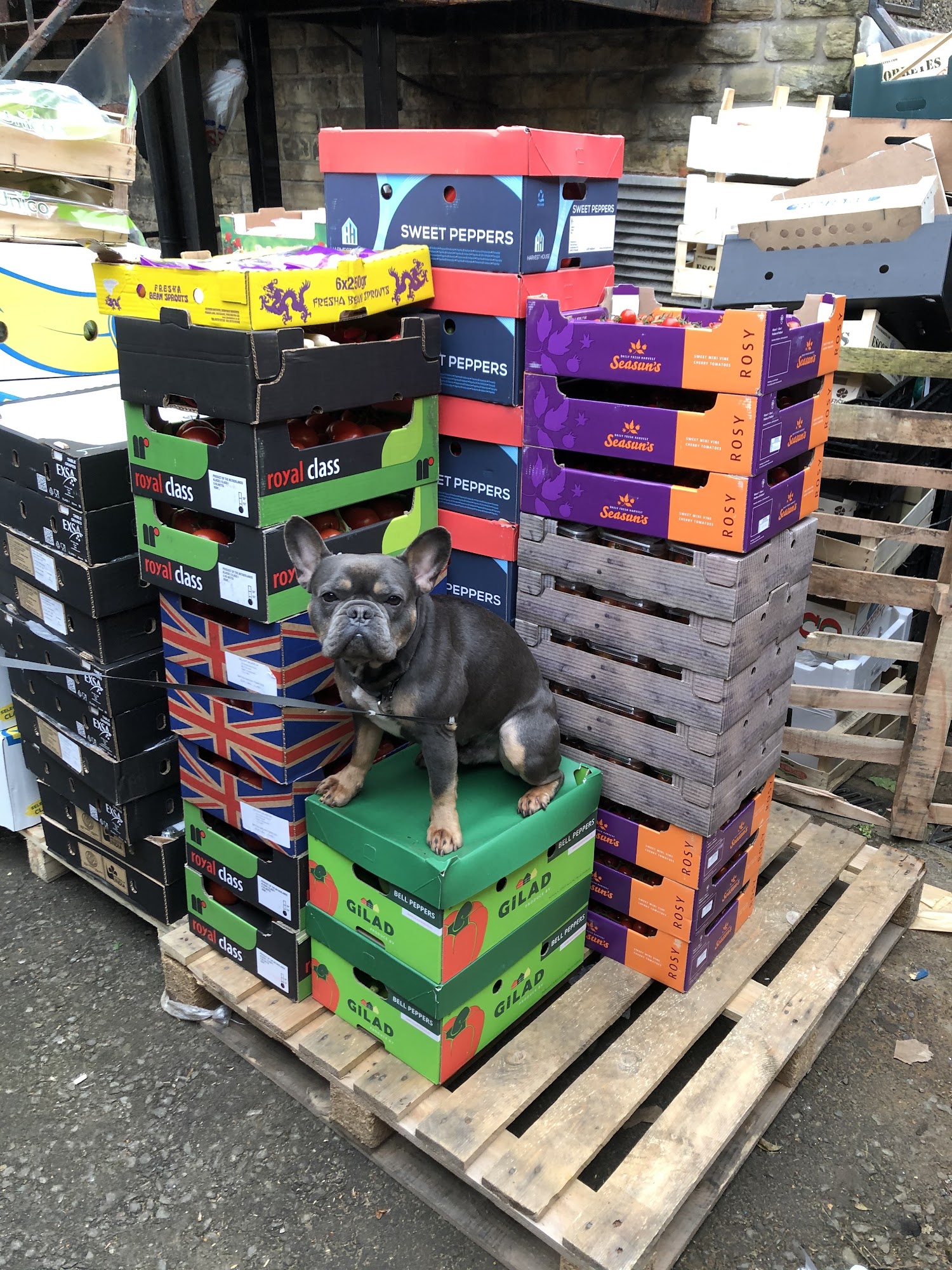 Sowerbutts Greengrocers ltd