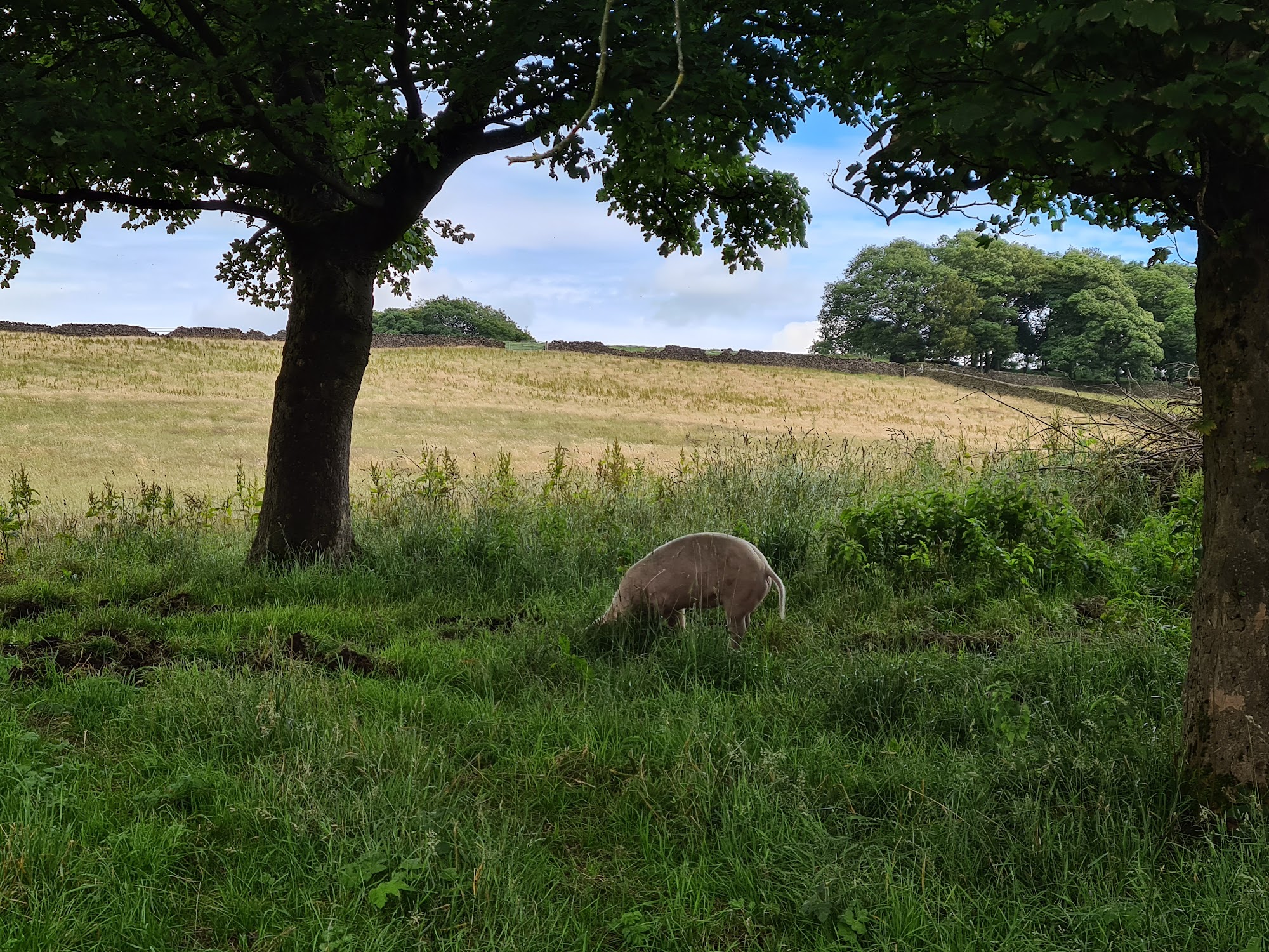 Horwich Farm