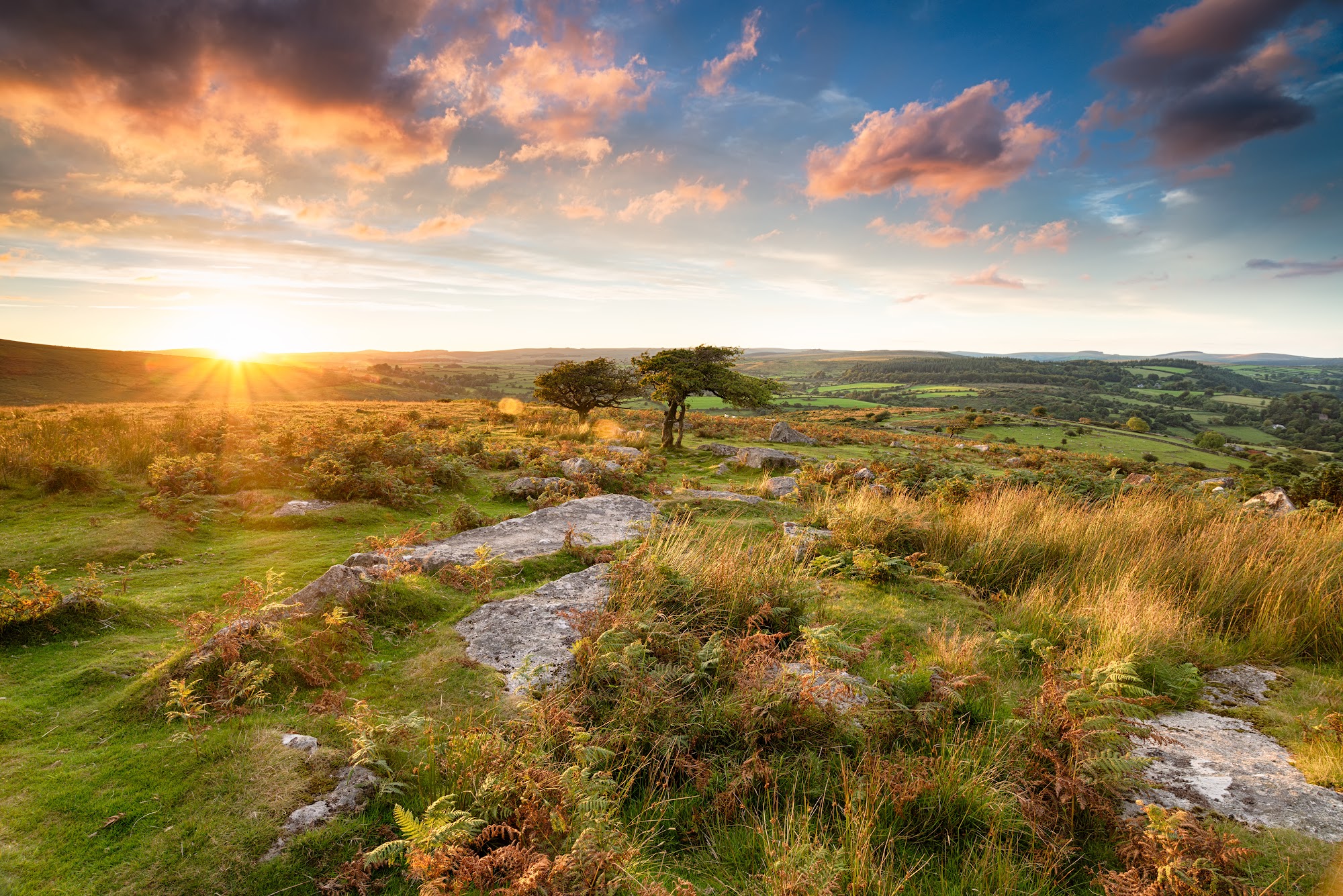 Keane & Parker Estate Agents