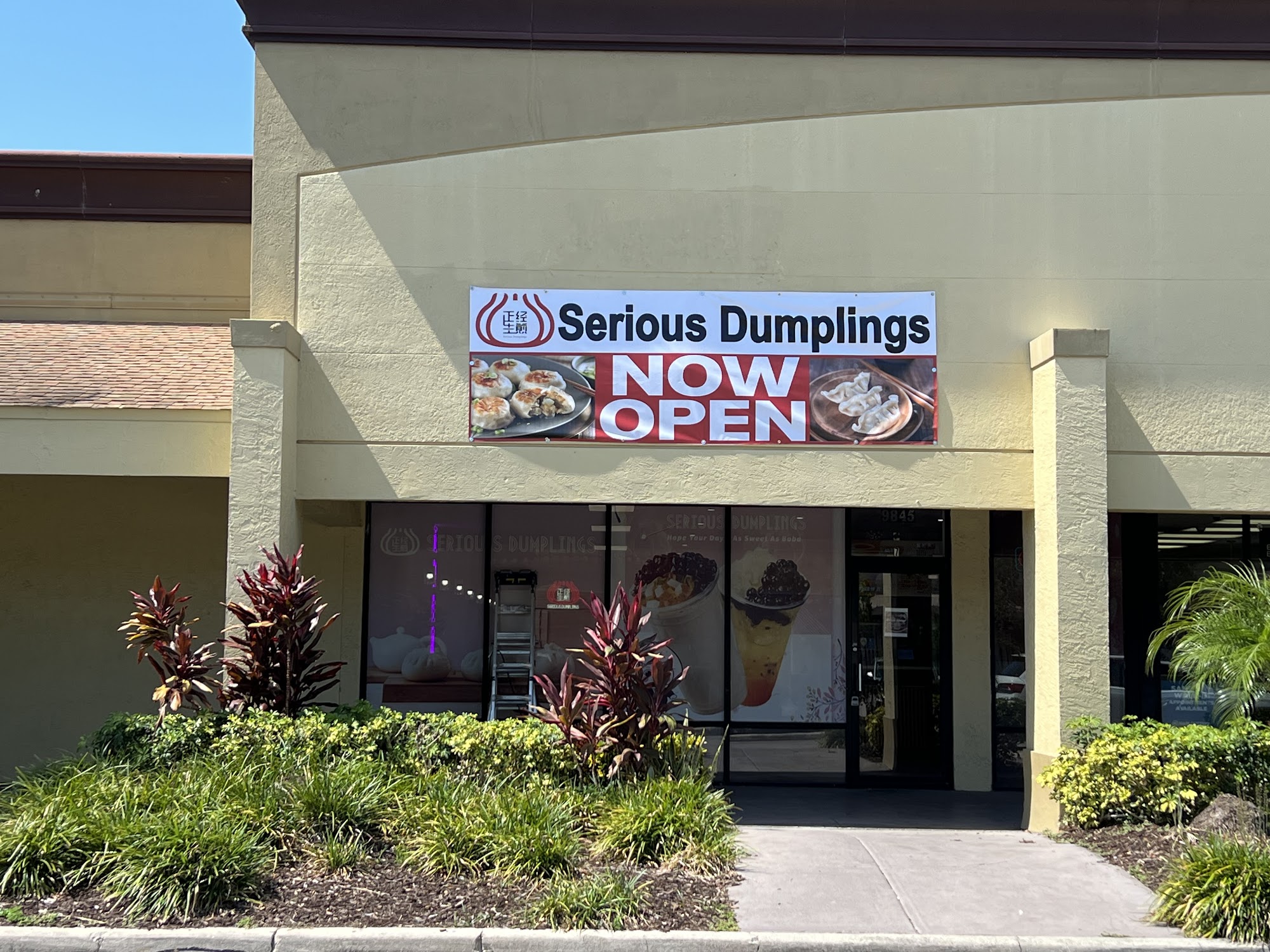 Serious Dumplings | Dim Sum & Bubble Tea