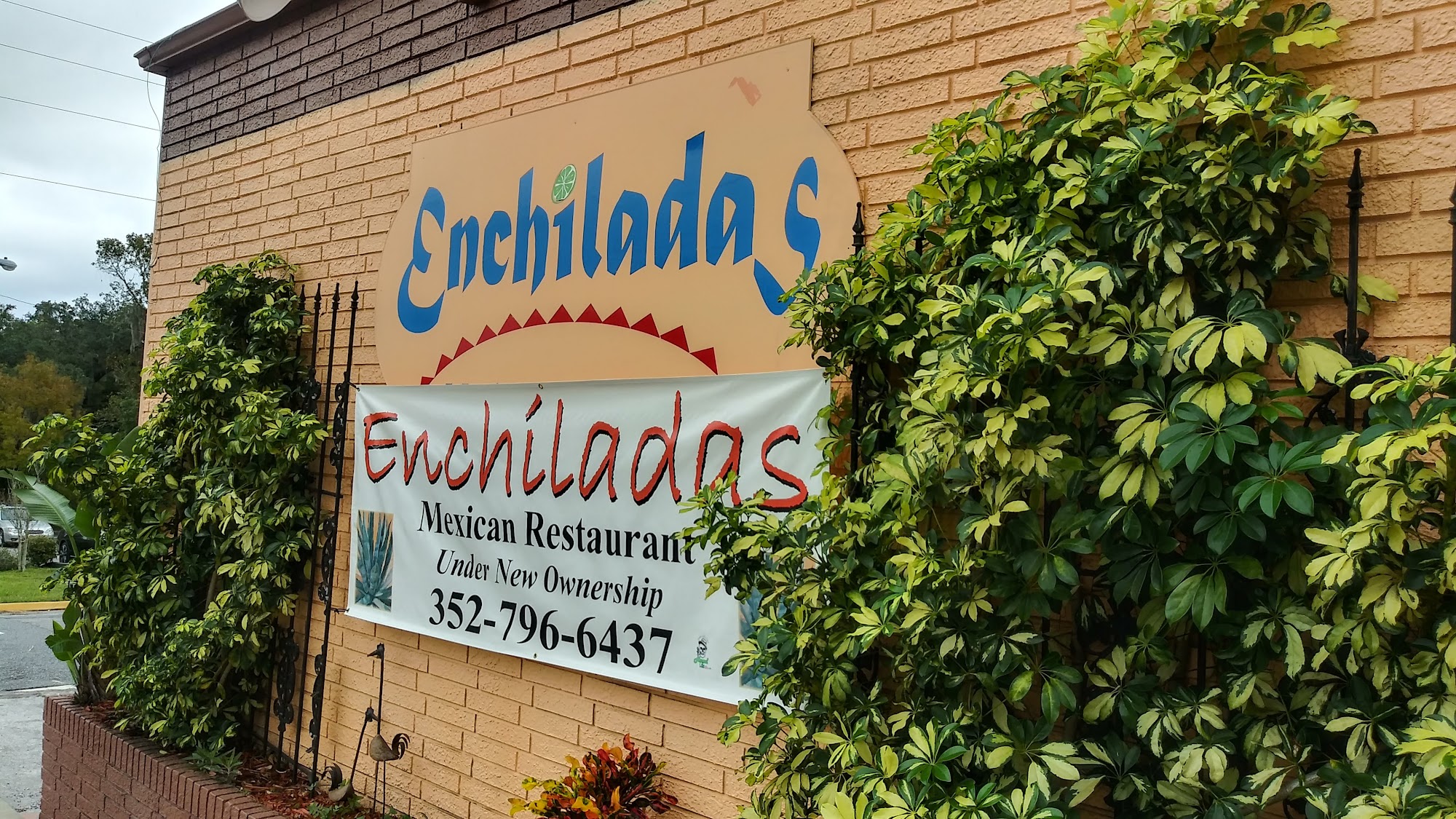 Enchiladas Mexican Restaurant