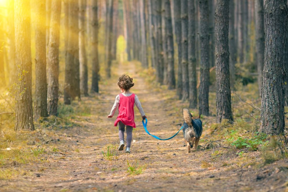 Photo credit: 