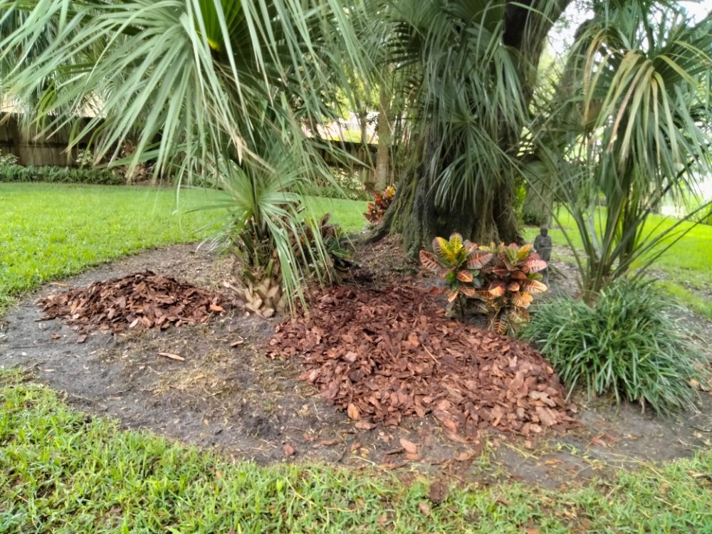 A&T Lawn Care Services of Central Florida, Inc. 613 Wigman Dr, Eatonville Florida 32751